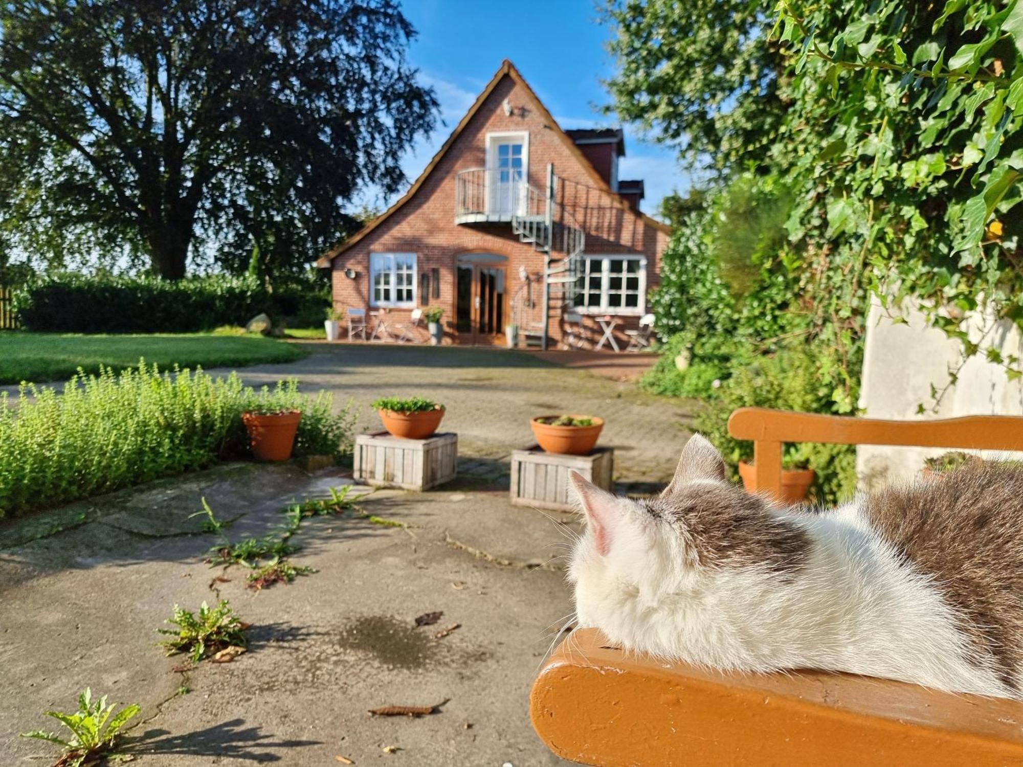 200 Jahre Altes Landhaus Mit Tieren Goldenstedt Exterior photo